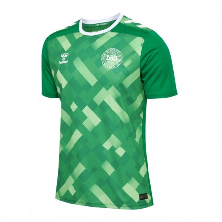 Camiseta de fútbol Dinamarca Portero Euro 2024 Verde Camiseta de fútbol Dinamarca Portero Euro 2024 Verde